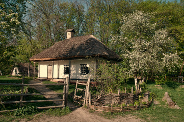 Fototapeta na wymiar Ukrainian village in the spring