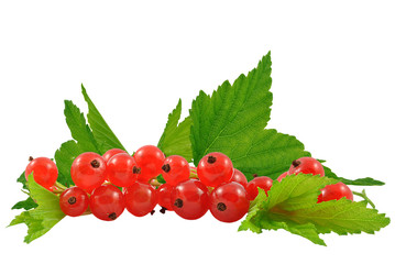 porzeczka czerwona na białym tle © slawek_zelasko