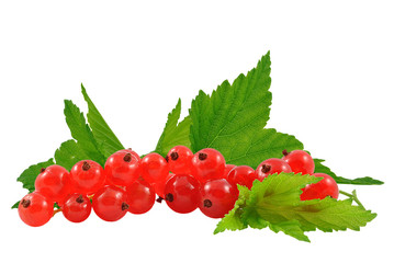 porzeczka czerwona na białym tle © slawek_zelasko