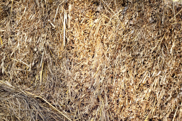 Hay bale background texture