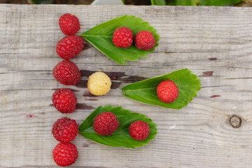 ripe and juicy berries of raspberry