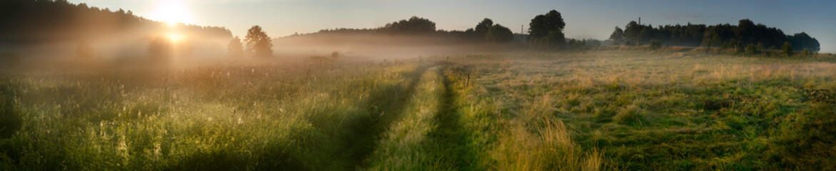 Fototapeta na wymiar Sunrise over the misty field