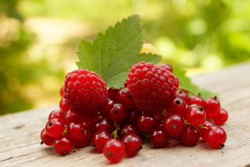 the ripe and juicy berries currant and raspberry