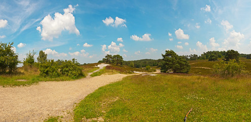 Panoramic landscape of meadow with path and trees with blue clou