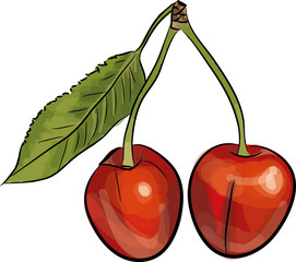 kirsche gemalt kirschen