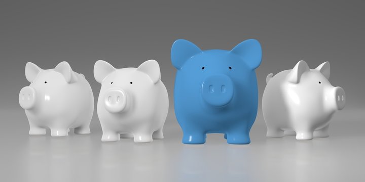 Piggy bank - row with big blue pig
