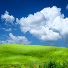 green grass on the field