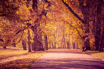 park in fall