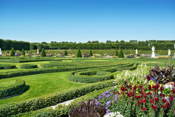 Boxwood decorations and flowers in Herrenhausen Gardens, Hanover