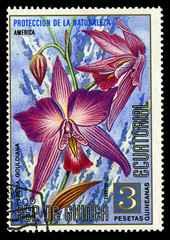 EQUATORIAL GUINEA - CIRCA 1974 shows Laelia Gouldiana