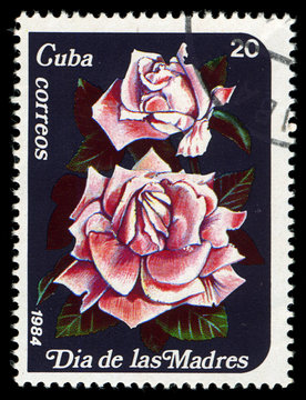 CUBA - CIRCA 1984 divided to Mother's Day and shows  rose