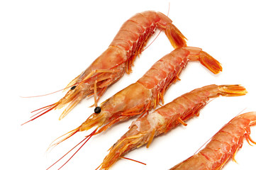 raw prawns
