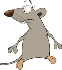 Rat cartoon
