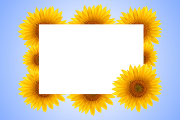 Blank white page decorated with natural sunflower details on the