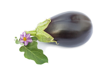 Fresh eggplant with flower and leaves