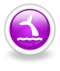Violet Icon 