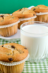 Fresh muffins