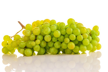 beautiful ripe green grapes