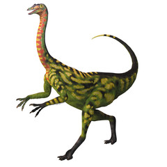 Deincheirus on White