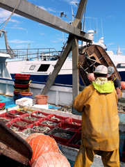 activité sur le port de pêche