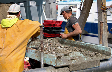 activité sur le port de pêche