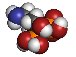Alendronic acid (alendronate) osteoporosis drug