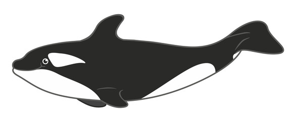 Naklejka premium orca cartoon