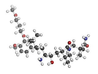 Aliskiren hypertension or high blood pressure drug (renin inhibi