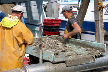 activité sur le port de pêche