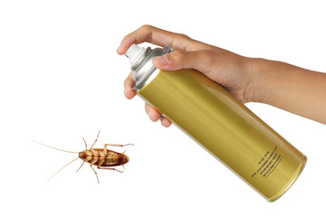 Cockroach spray with spray cans isolated over white background