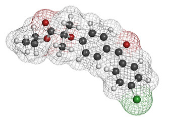 Fenofibrate cholesterol lowering drug (fibrate class)