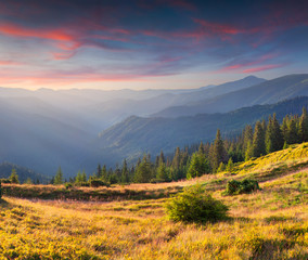Fototapeta na wymiar Colorful autumn landscape in mountains. Sunset