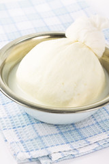 Fresh organic handmade cottage cheese