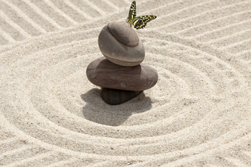 galets et papillon sur sable