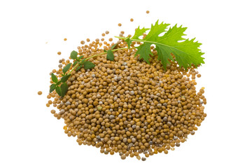 Mustard seeds