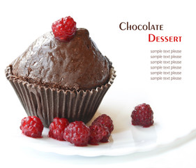 Chocolate fruitcake with raspberry