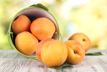 Apricots in bucket on wooden table on nature background