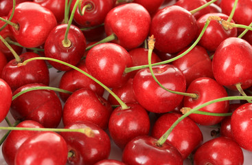 Cherry berries close up