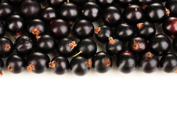 Fresh black currant isolated on white