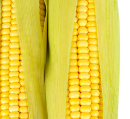 Crude corns isolated on white