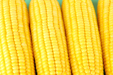 Crude corns close-up
