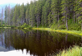 Obraz premium Smreczyński pond. Tatra Mountains. Poland