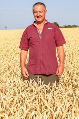 Naklejka na ściany i meble Farmer controls his wheat field