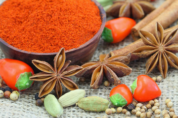 Indian spices and fresh chili peppers on jute surface