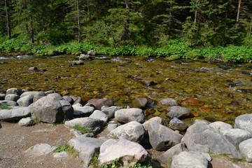stream in the mountains. Tatra Mountains. Poland © robert6666