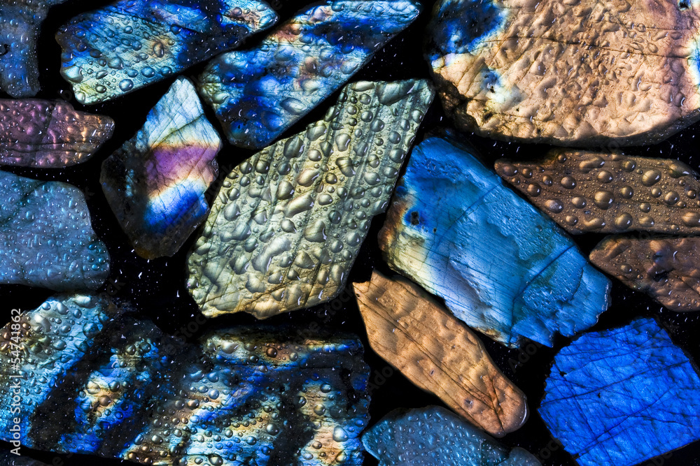 Wall mural colorful wet labradorite gem stones.