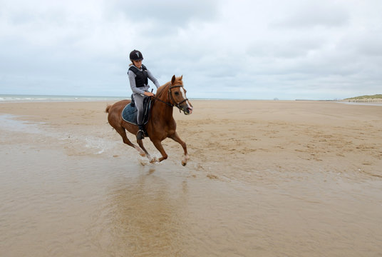 volte au galop