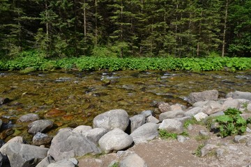 stream in the mountains. Tatra Mountains. Poland © robert6666