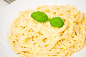 spaghetti with cheese