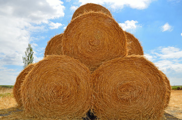 strohballen auf feld